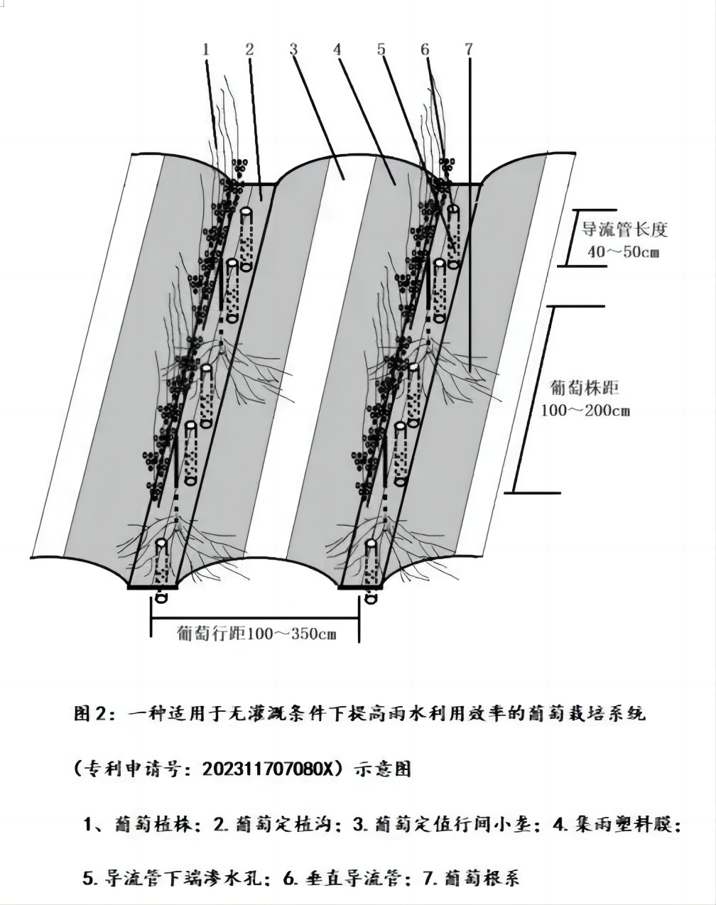 19.3.webp(1).jpg