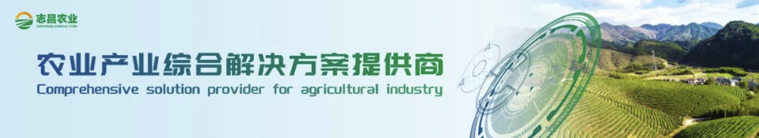 葡萄种质资源抗霜霉病鉴定研究(图1) 葡萄种质资源抗霜霉病鉴定研究(图1)