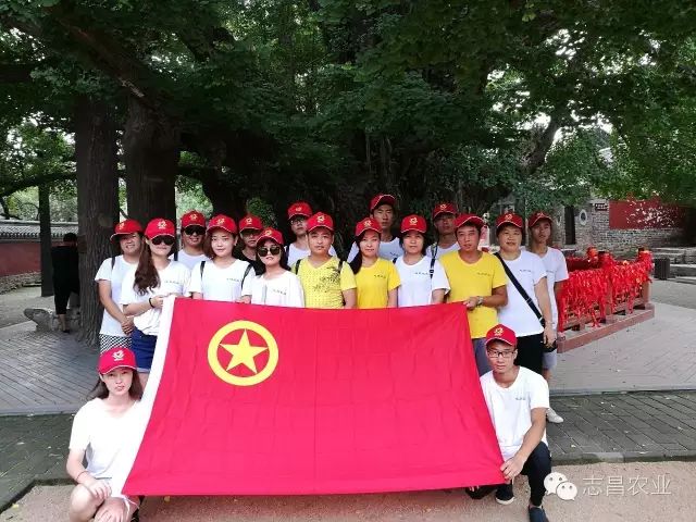 山东志昌农业科技发展有限公司共青团举办户外拓展活动(图4)