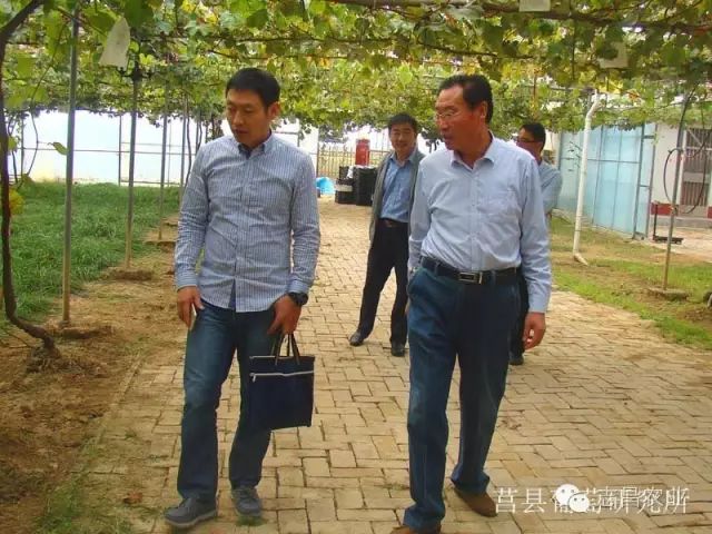 山东省民政厅到莒县葡萄研究所调研指导工作(图2)